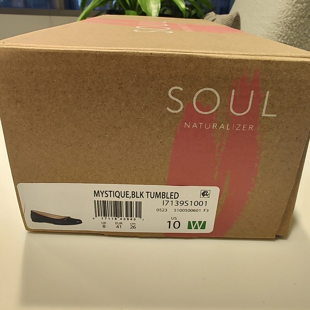 SOUL by Naturalizer Mystique Flat in size 10W